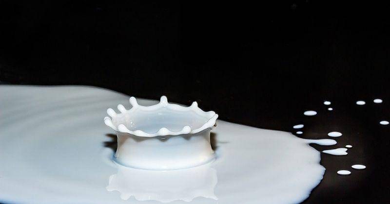 Pixabay/Myriams-Fotos