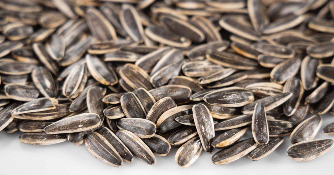 Unsplash/engin akyurt