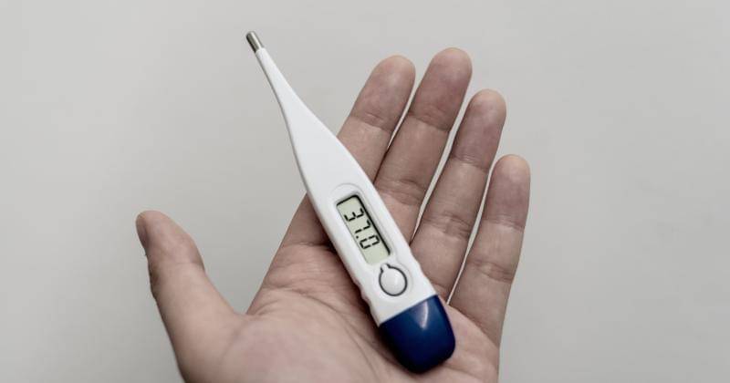 Unsplash/Winel Sutanto