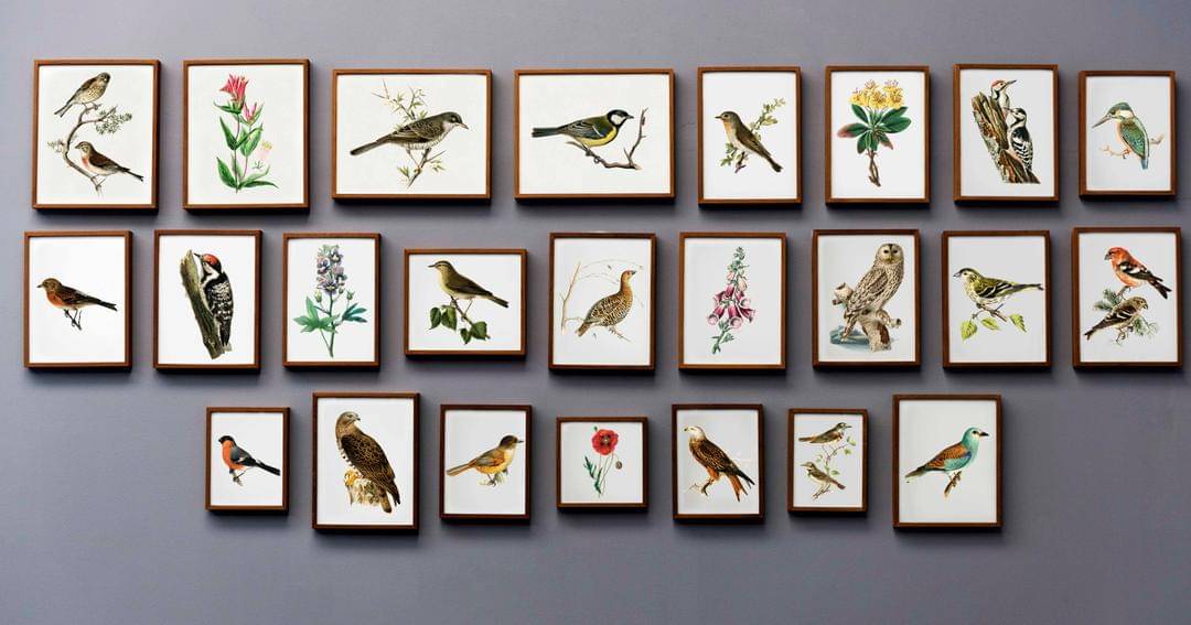 Freepik/rawpixel.com