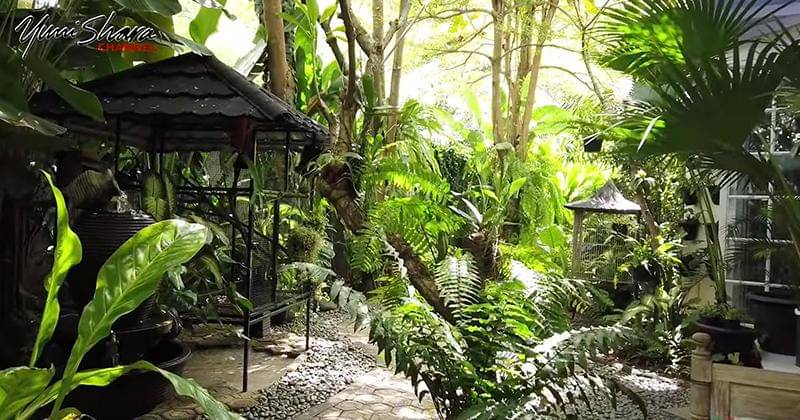 Youtube.com/YuniSharaChannel