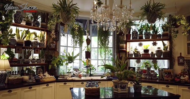 Youtube.com/YuniSharaChannel