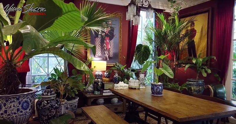 Youtube.com/YuniSharaChannel