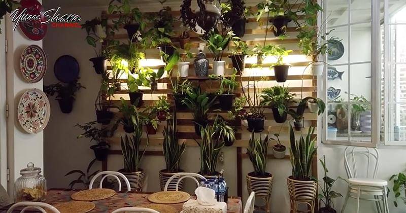 Youtube.com/YuniSharaChannel