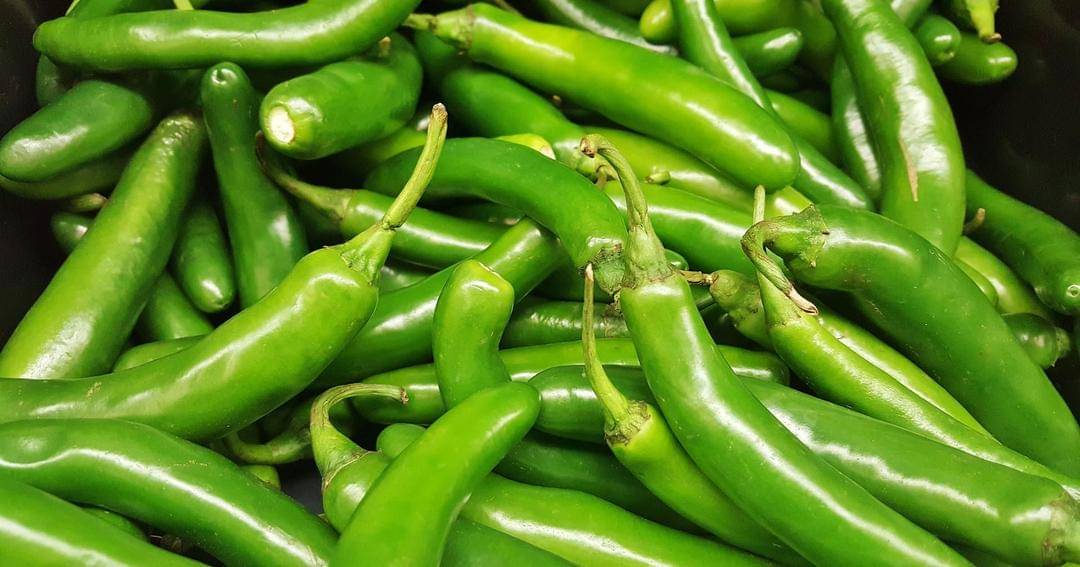 Pixabay/Brett Hondow