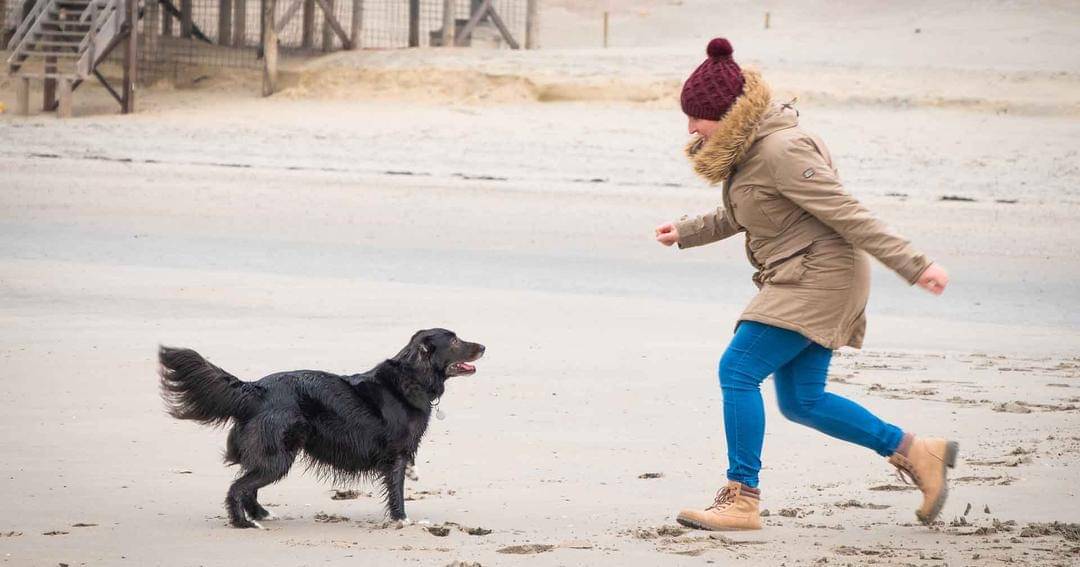 Pixabay/Alfred Derks