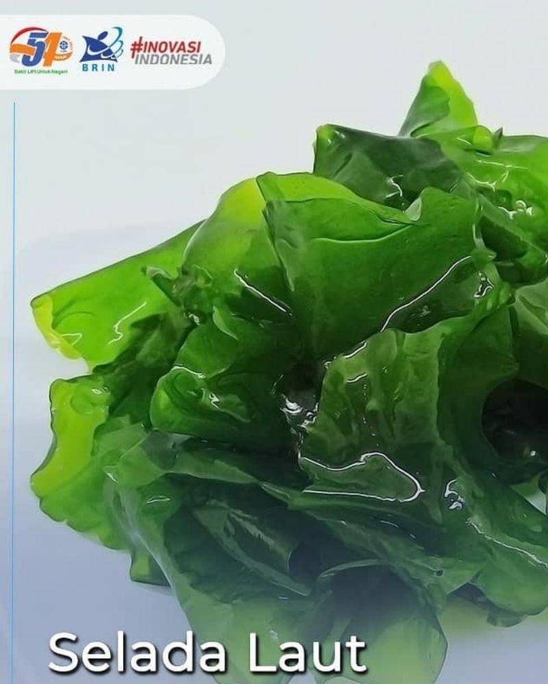 Instagram.com/lipiindonesia