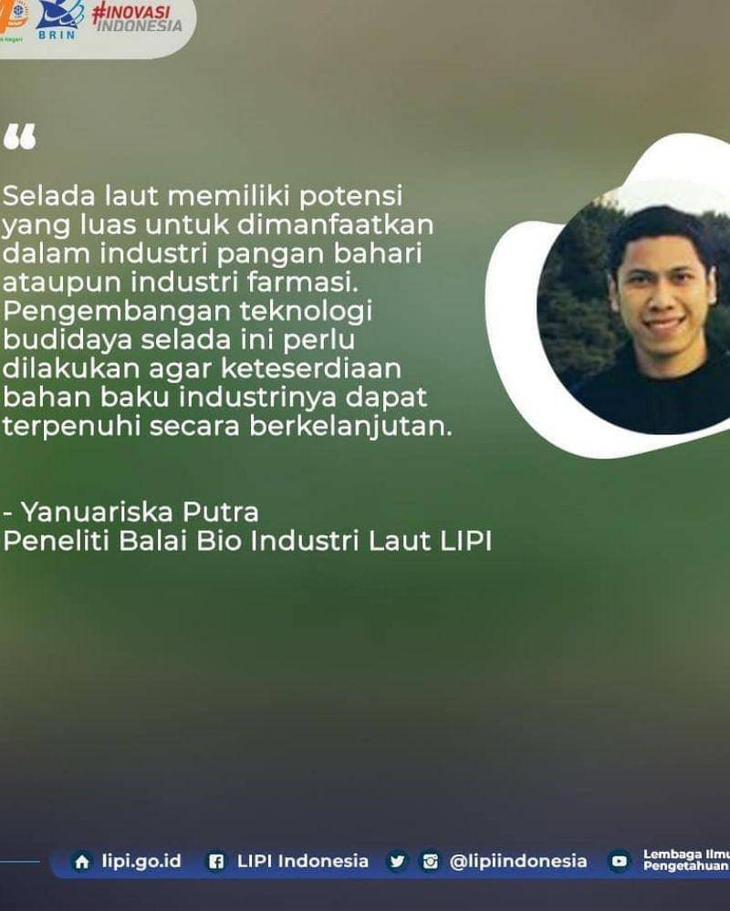 Instagram.com/lipiindonesia