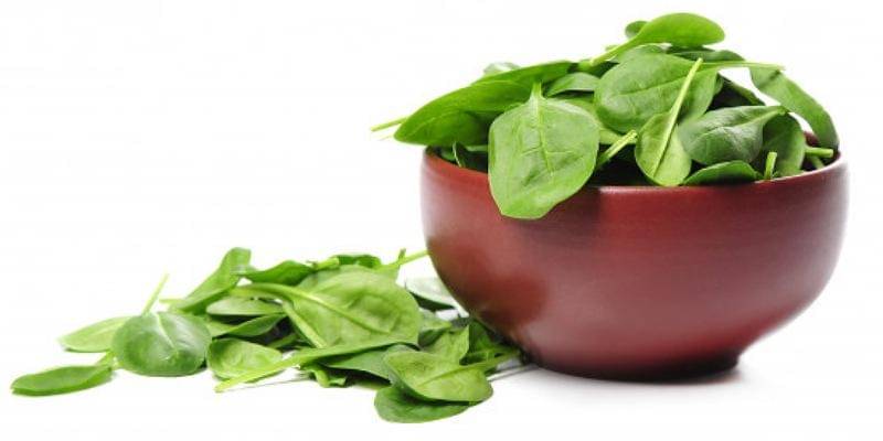 Freepik/Racool_studio