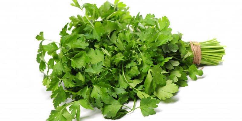 Freepik/Racool_studio