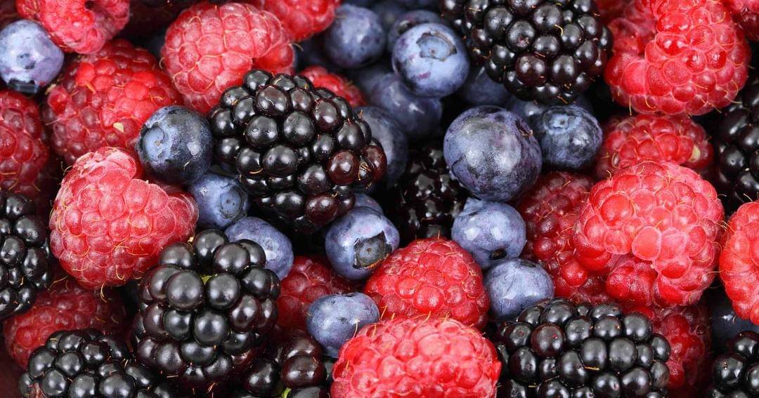 Pixabay/PublicDomainPictures