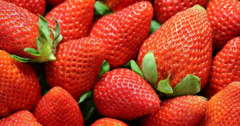 Unsplash/Maksim Shutov