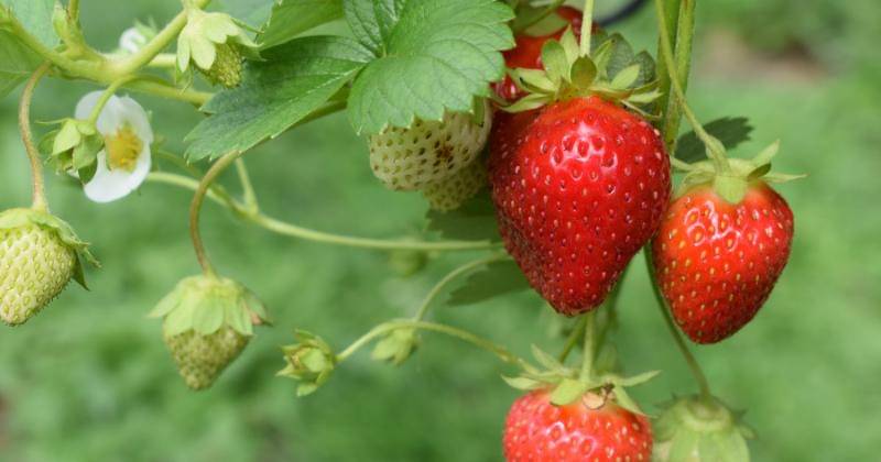 Unsplash/Oliver Hale