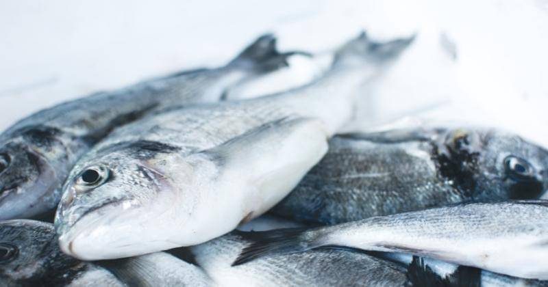 Unsplash/Jakub Kapusnak