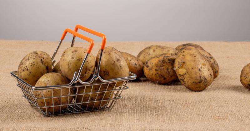 Unsplash/Andrey Metelev