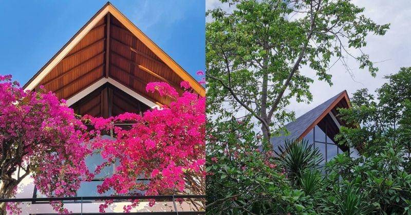 Instagram.com/hamishdw & Instagram.com/raisa6690