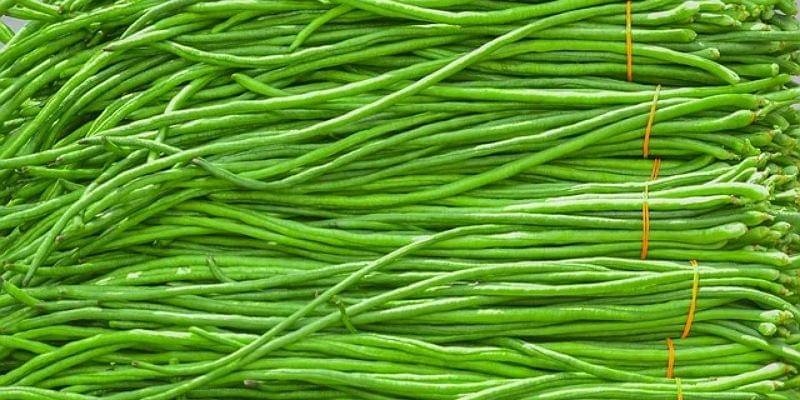 Pixabay/Nandalal_Sarkar