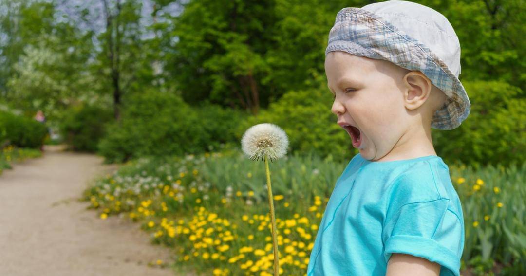 Unsplash/Alexey Fedenkov