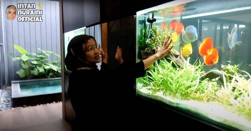 Youtube.com/INTAN NURAINI OFFICIAL