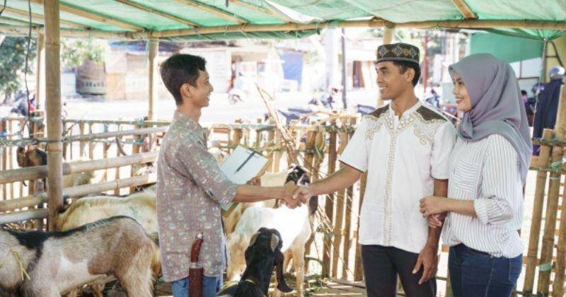 Syarat Berkurban di Hari Raya Idul Adha, Perhatikan Kesehatan Hewannya