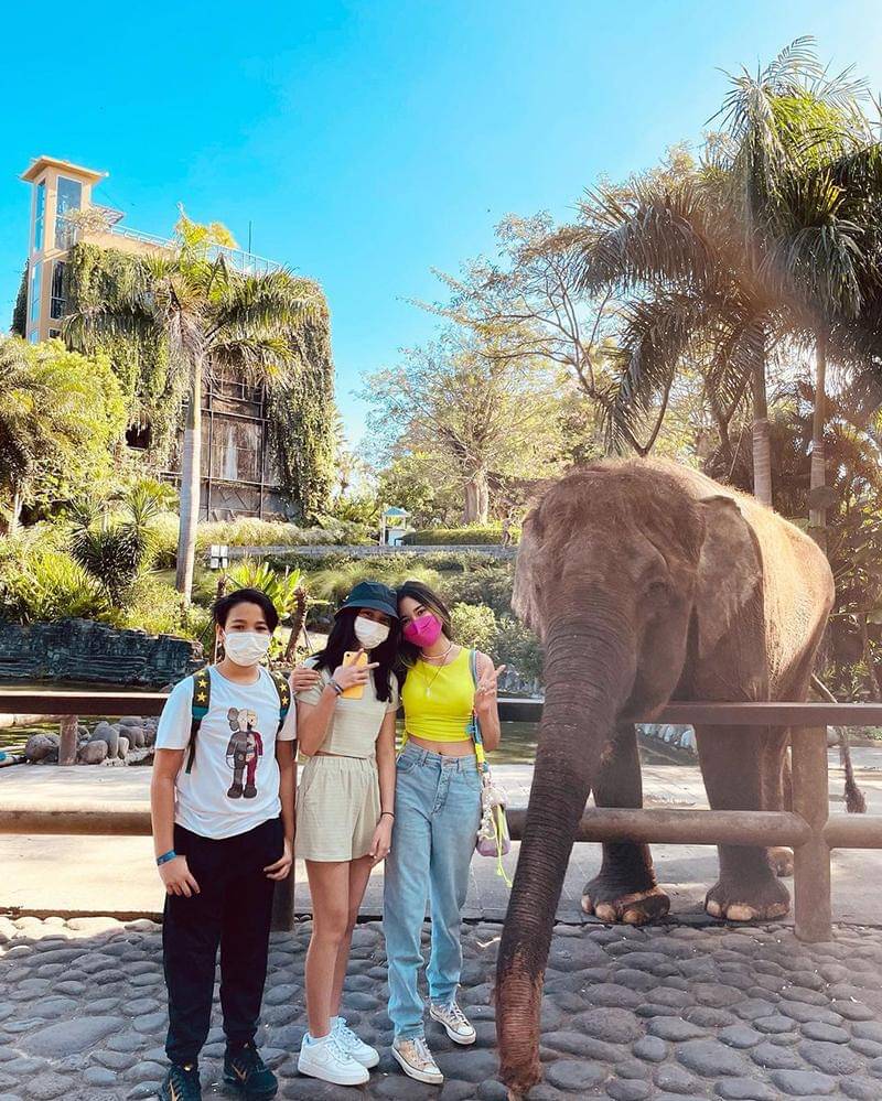 Instagram.com/cuttaryofficial