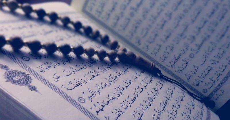 Pexels/TayebMezahdia