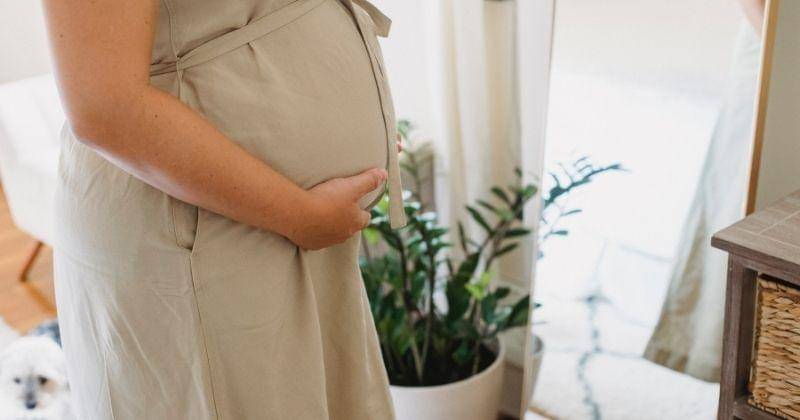 Pexels/Amina Filkins