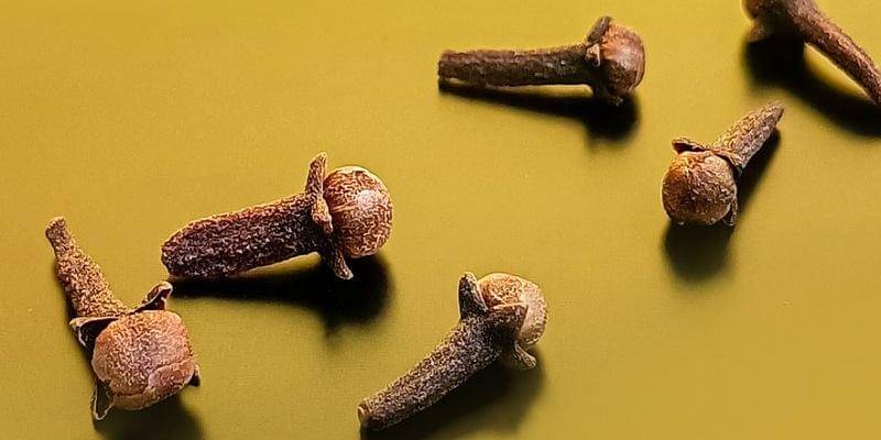 Unsplash/Jaspreet Kalsi