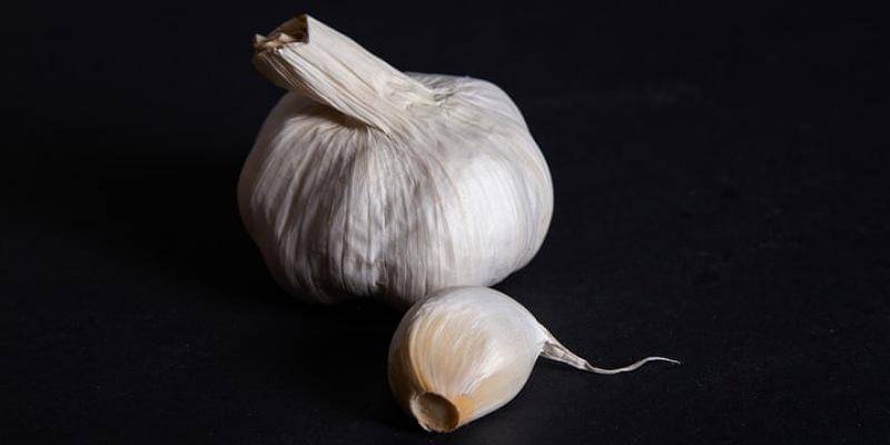 Unsplash/Luke Besley