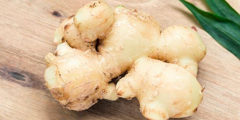 Unsplash/sentot setyasiswanto