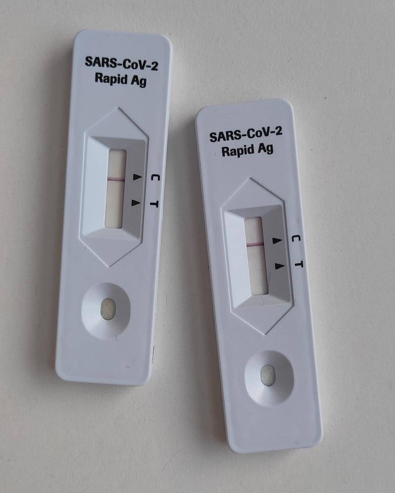 Unsplash/Steve Nomax