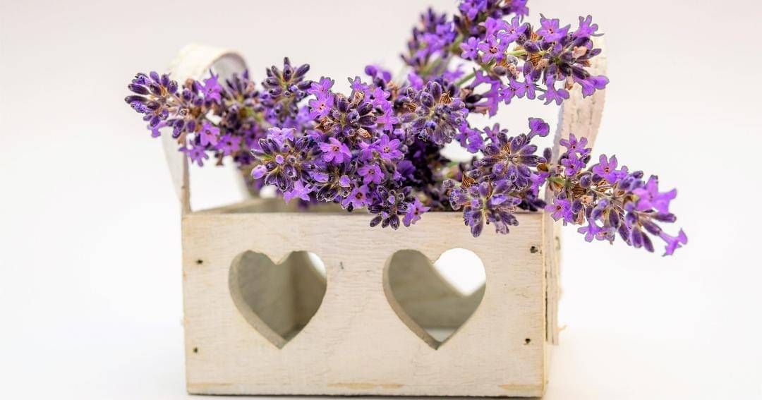 Pixabay/Gundula Vogel