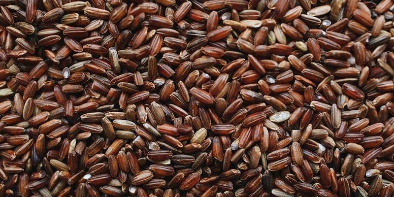 Pexels/Polina Tankilevitch