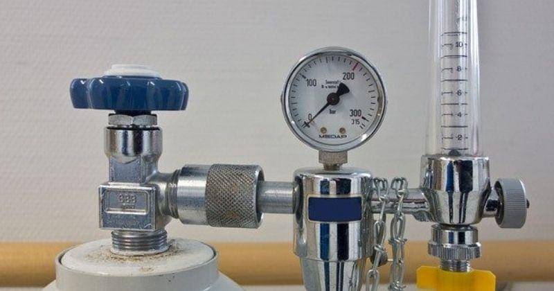 Pixabay/ Michael Schwarzenberger