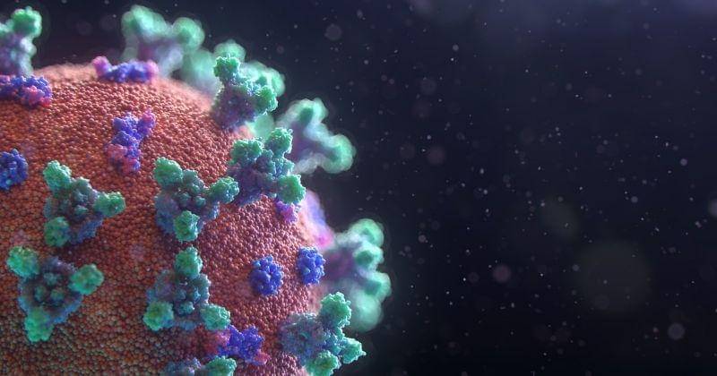 Unsplash/Fusion Medical Animation