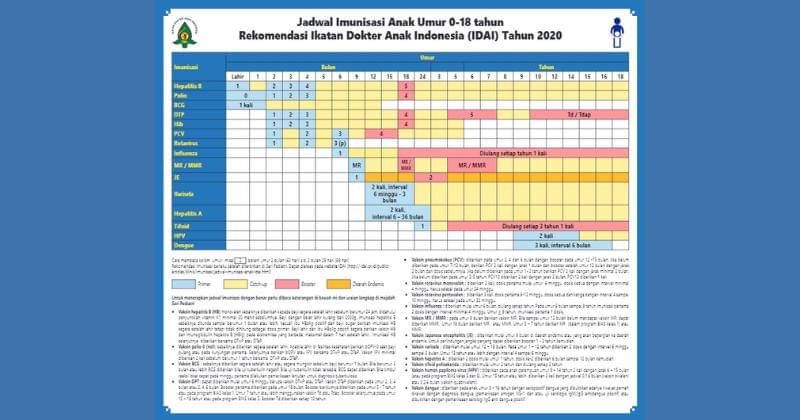 Jadwal Imunisasi IDAI 2020 - Ikatan Dokter Anak Indonesia (IDAI)