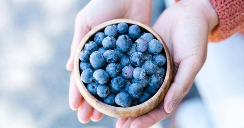 Pexels/RODNAE Productions