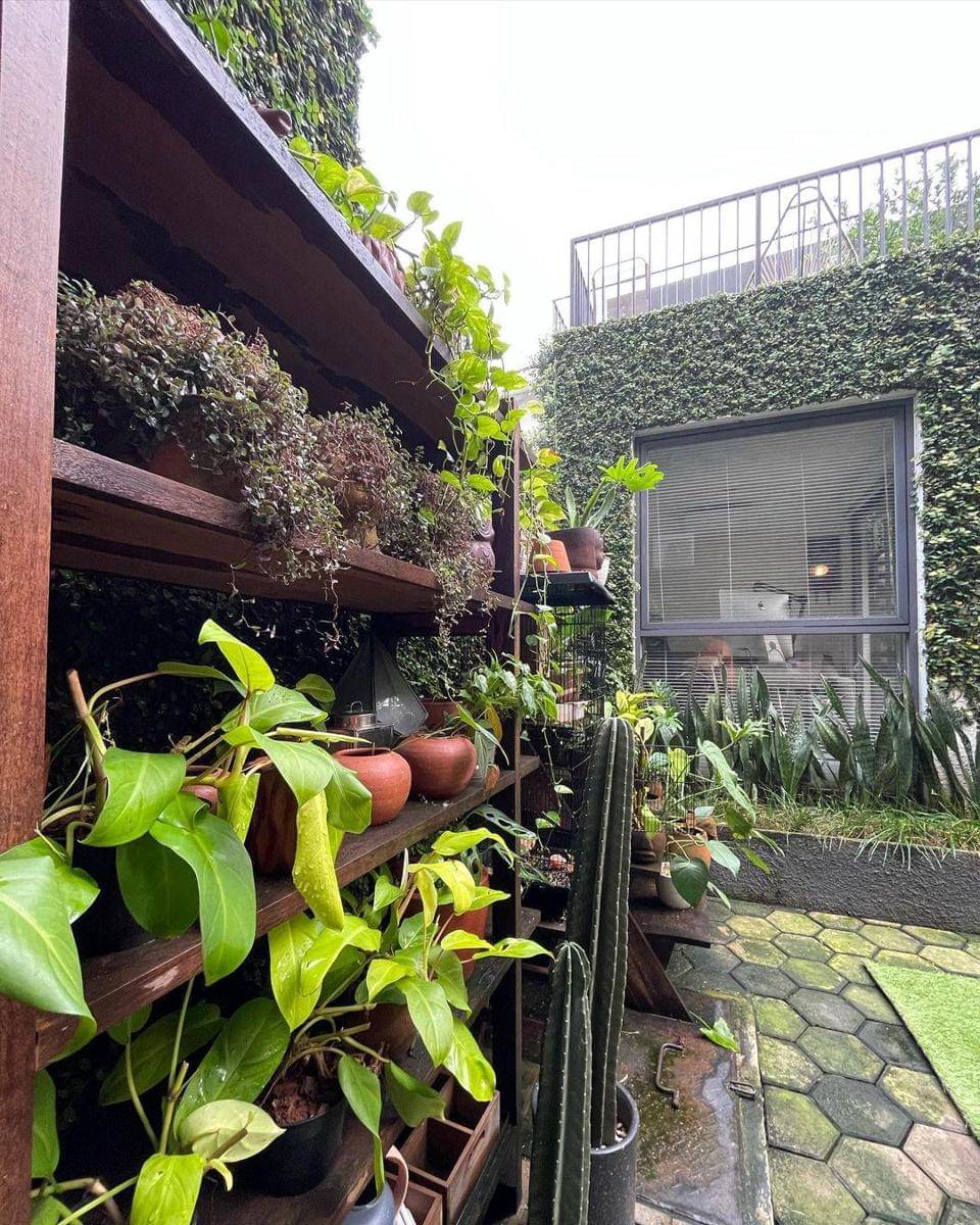 Instagram.com/jokoanwar