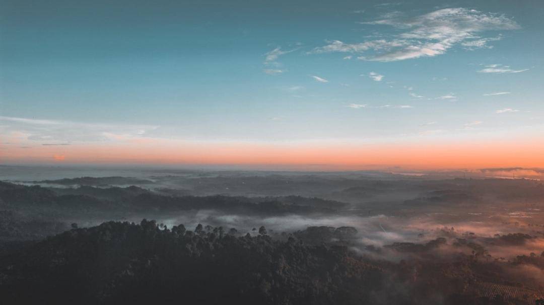 Pexels/andiravsanjani