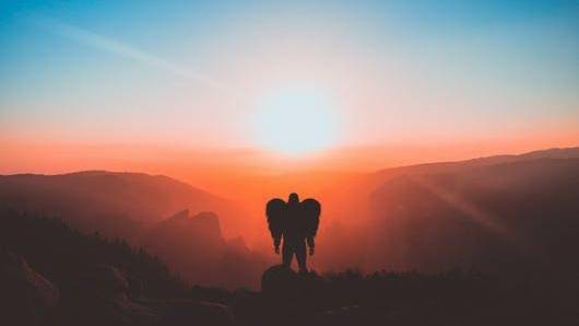 Pexels/rakicevic-nenad-233369