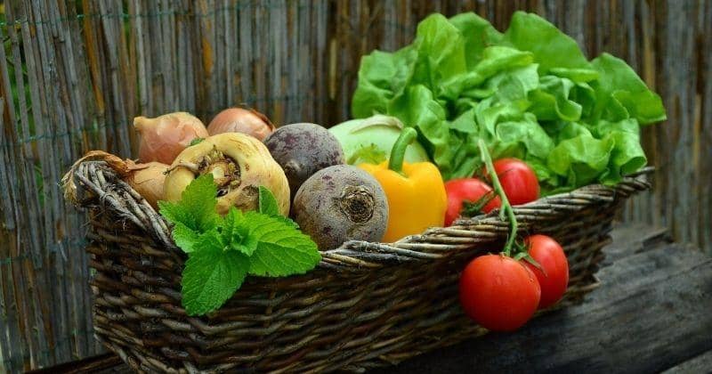 Pixabay/congerdesign