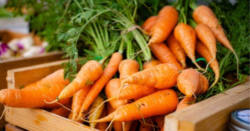 Unsplash/Zachary Kadolph