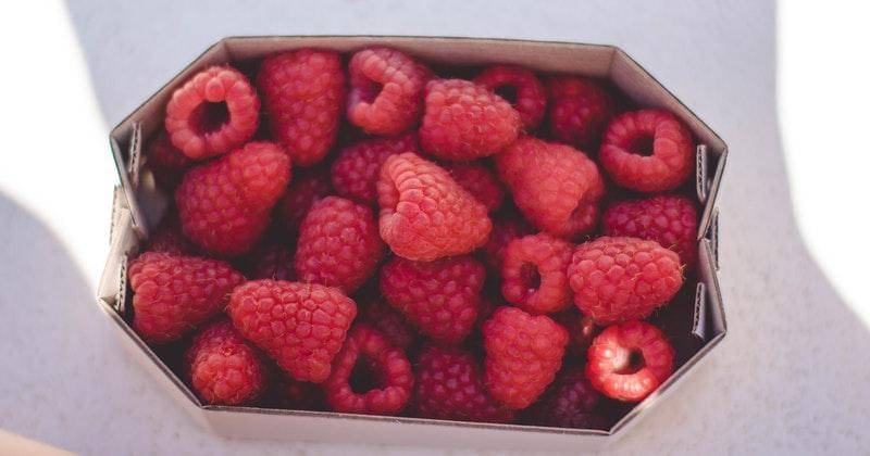 Pexels/Kristina Paukshtite