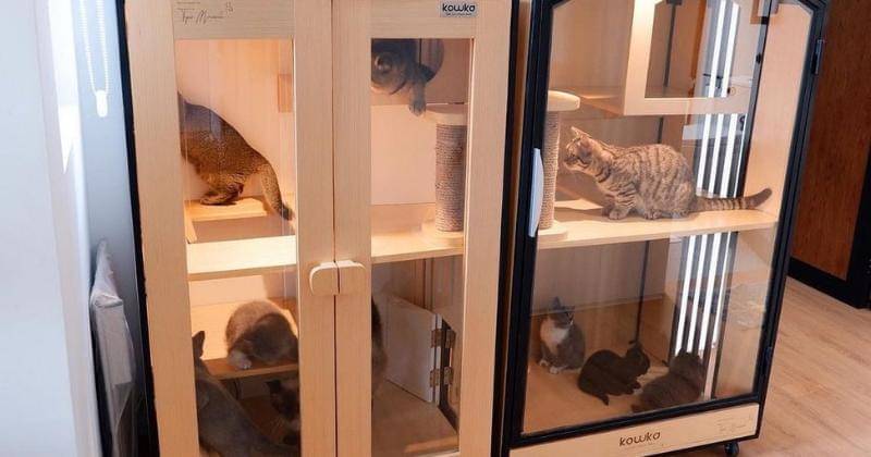 Instagram.com/tyasmirasih