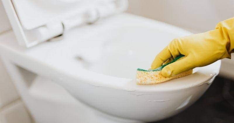 Pexels/Karolina Grabowska