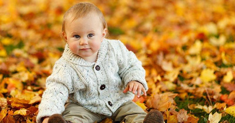 Pexels/Public Domain Pictures