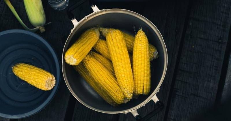 Unsplash/Mohd Hafiz Yahya