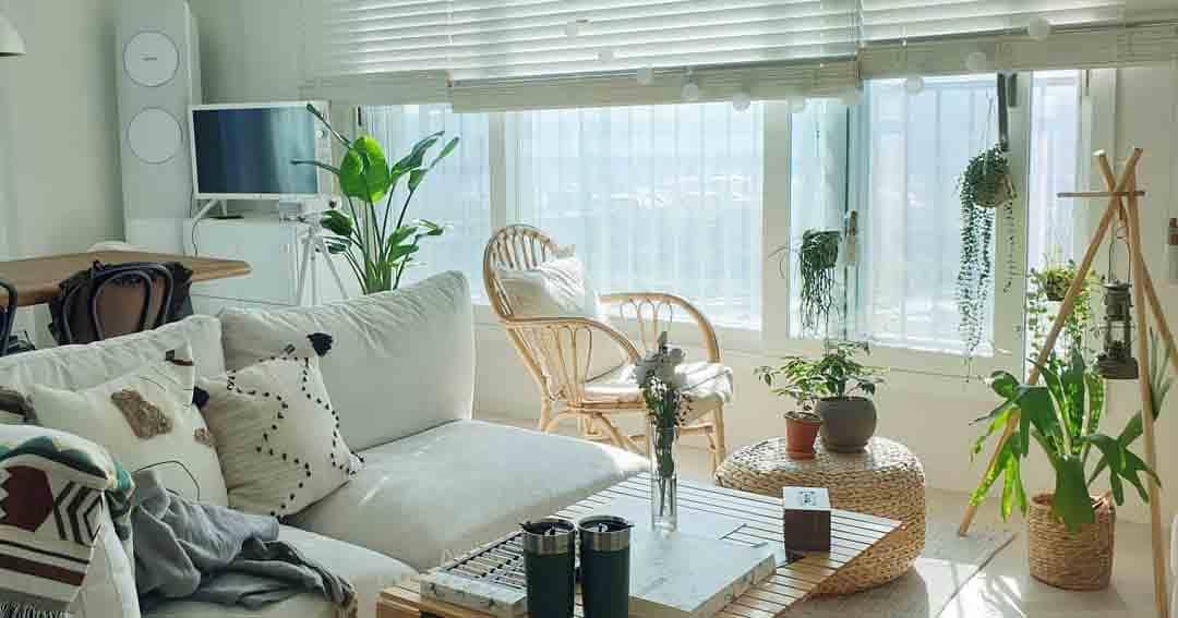 Instagram.com/junylub