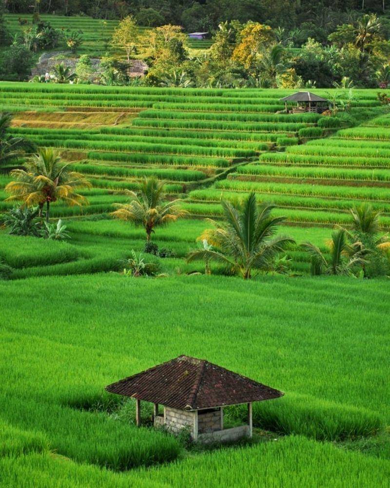 Unsplash/Claudia Fernández Ortiz