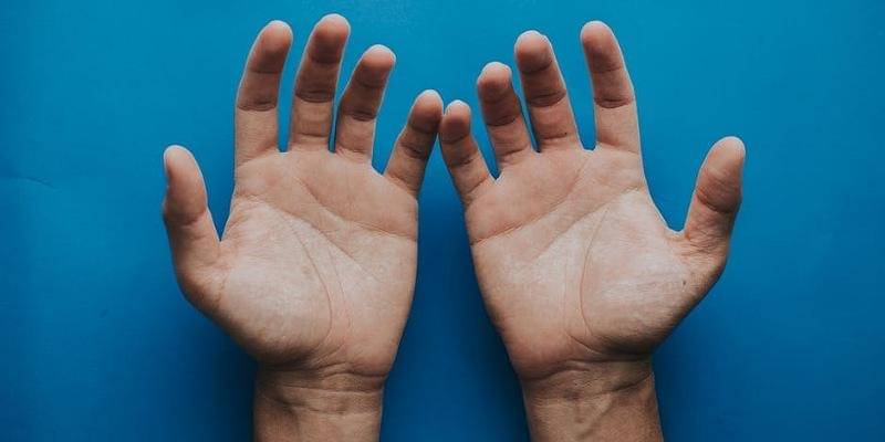 Pexels/Luis Quintero